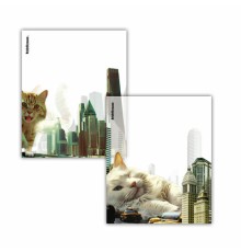 Обложки ПП для тетрадей и дневников ERICH KRAUSE 