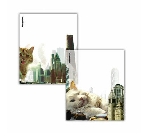 Обложки ПП для тетрадей и дневников ERICH KRAUSE 