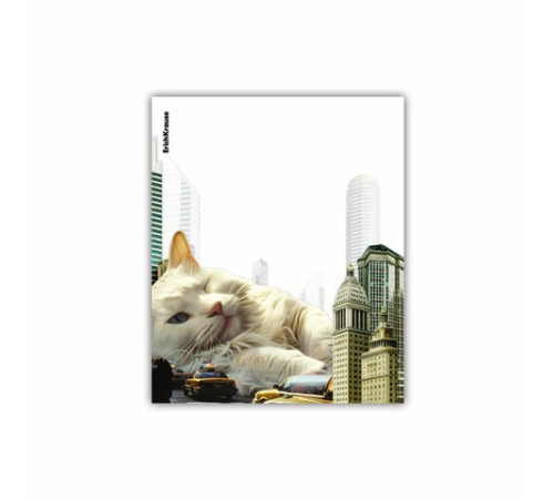 Обложки ПП для тетрадей и дневников ERICH KRAUSE 