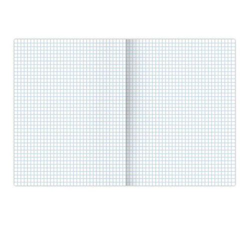 Тетрадь А4, 48 л., BRAUBERG, скоба, клетка, обложка картон, 