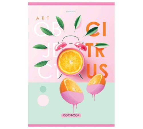 Тетрадь А4, 48 л., BRAUBERG, скоба, клетка, обложка картон, 