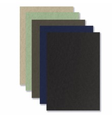 Бумага для пастели А4 в папке, 20 листов 5 цветов, 180 гр/м2, BRAUBERG ART CLASSIC, 116345