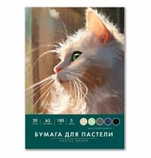 Бумага для пастели БОЛЬШАЯ А3 в папке, 20 листов 5 цветов, 180 гр/м2, BRAUBERG ART CLASSIC, 116346