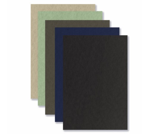 Бумага для пастели БОЛЬШАЯ А3 в папке, 20 листов 5 цветов, 180 гр/м2, BRAUBERG ART CLASSIC, 116346