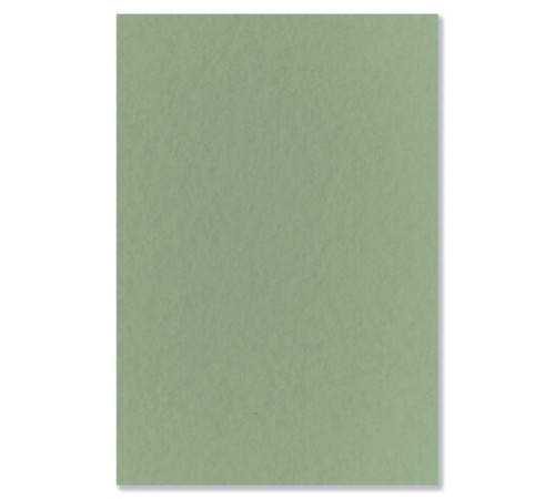 Бумага для пастели БОЛЬШАЯ А3 в папке, 20 листов 5 цветов, 180 гр/м2, BRAUBERG ART CLASSIC, 116346