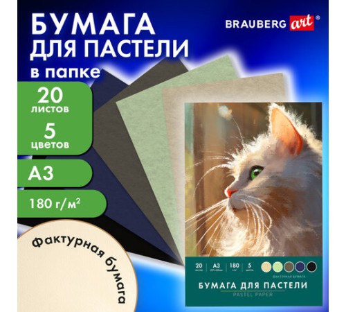 Бумага для пастели БОЛЬШАЯ А3 в папке, 20 листов 5 цветов, 180 гр/м2, BRAUBERG ART CLASSIC, 116346