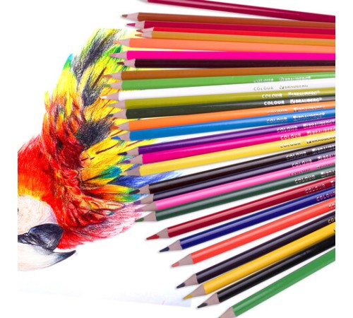 Карандаши цветные BRAUBERG KIDS, 50 цветов, трехгранные, грифель 3 мм, 181946