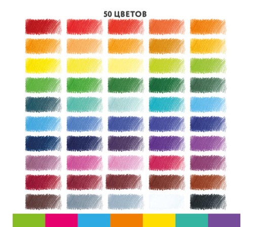 Карандаши цветные BRAUBERG KIDS, 50 цветов, трехгранные, грифель 3 мм, 181946