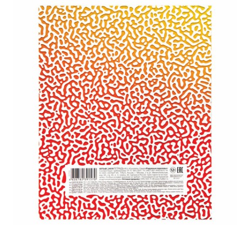 Тетрадь А5, 40 л., HATBER, скоба, клетка, глянцевая ламинация, 