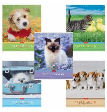 Тетрадь А5 48 л. HATBER скоба, клетка, обложка картон, 