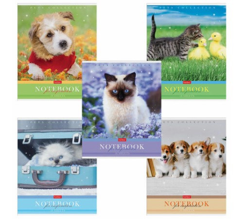 Тетрадь А5 48 л. HATBER скоба, клетка, обложка картон, 