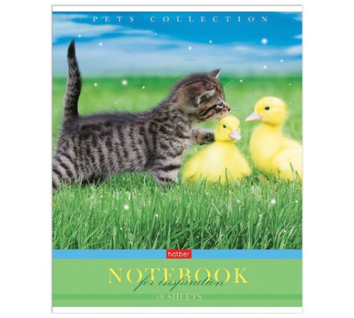 Тетрадь А5 48 л. HATBER скоба, клетка, обложка картон, 