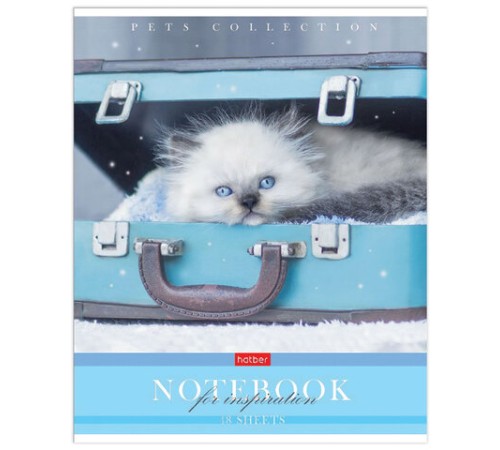 Тетрадь А5 48 л. HATBER скоба, клетка, обложка картон, 