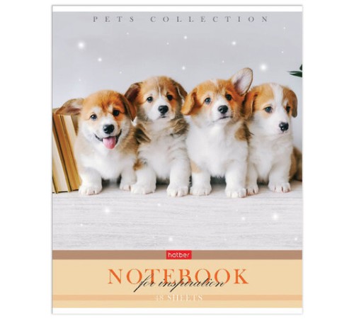 Тетрадь А5 48 л. HATBER скоба, клетка, обложка картон, 