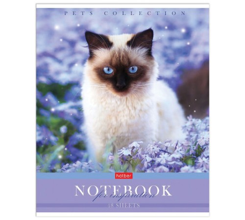 Тетрадь А5 48 л. HATBER скоба, клетка, обложка картон, 