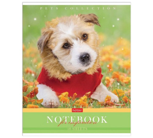 Тетрадь А5 48 л. HATBER скоба, клетка, обложка картон, 