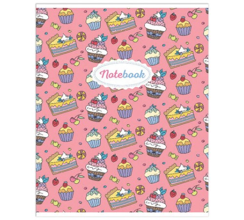 Тетрадь А5, 48 л., HATBER-ECO скоба, офсет №2 ЭКОНОМ, клетка, обложка мелованная бумага, 