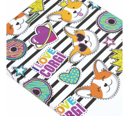 Дневник 1-11 класс 40 л., твердый, BRAUBERG, глянцевая ламинация, 