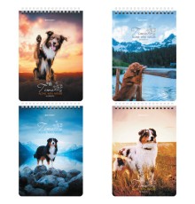 Блокнот А5 (146х206 мм), 80 л., гребень, картон, клетка, BRAUBERG, 