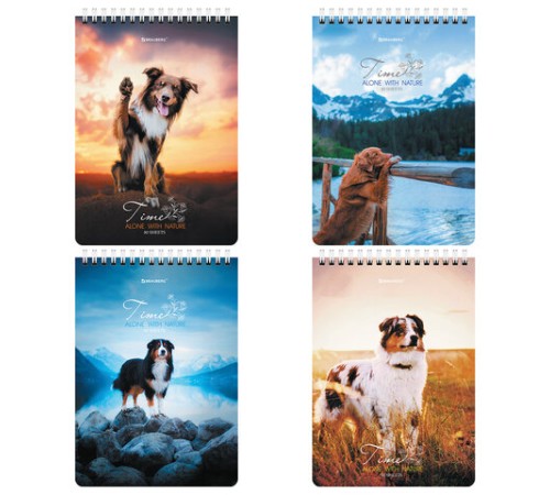 Блокнот А5 (146х206 мм), 80 л., гребень, картон, клетка, BRAUBERG, 