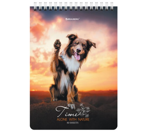 Блокнот А5 (146х206 мм), 80 л., гребень, картон, клетка, BRAUBERG, 