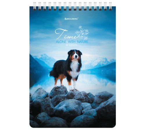 Блокнот А5 (146х206 мм), 80 л., гребень, картон, клетка, BRAUBERG, 