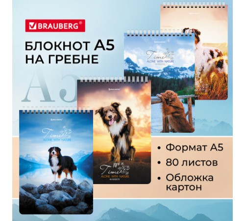 Блокнот А5 (146х206 мм), 80 л., гребень, картон, клетка, BRAUBERG, 