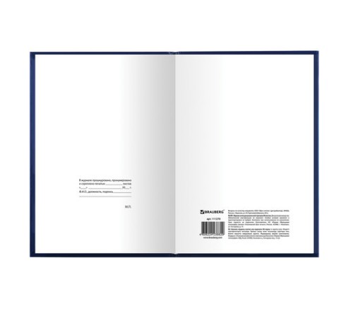 Журнал учета для розничной торговли, 96 л., бумвинил, блок офсет, А4 200x290 мм, BRAUBERG, 111270