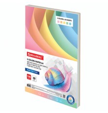 Бумага цветная BRAUBERG, А4, 80 г/м2, 100 л. (5 цветов х 20 листов), пастель, для офисной техники, 112460