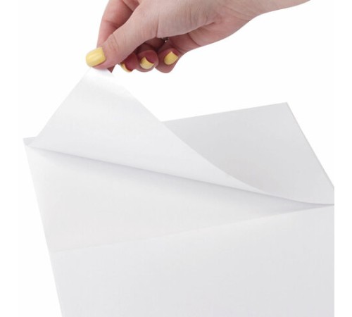 Этикетка самоклеящаяся 210х148,5 мм, 2 этикетки, белая, 70 г/м2, 50 листов, TANEX, сырье Финляндия, 114528, TW-2102