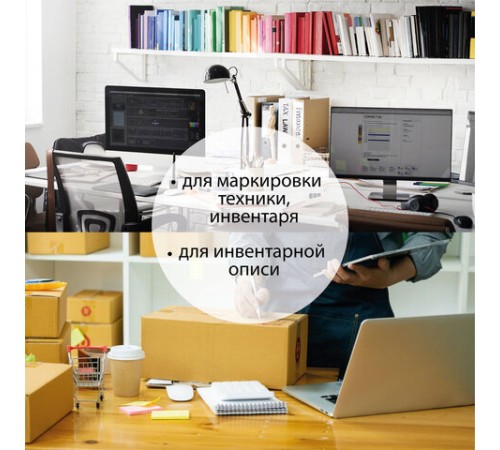 Этикетка самоклеящаяся 210х297 мм, 1 этикетка, полиэстер, серебро, 25 листов, TANEX, сырье Финляндия, 114544, TW-2000