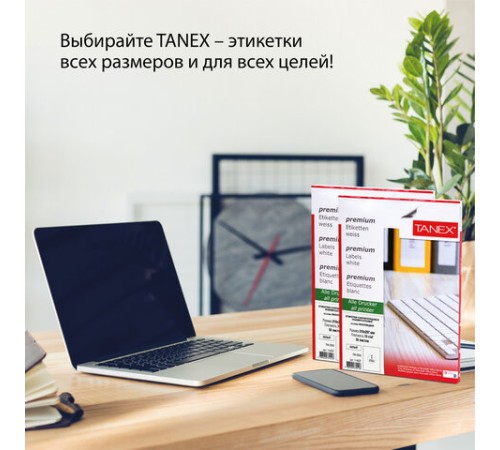 Этикетка самоклеящаяся 210х297 мм, 1 этикетка, полиэстер, серебро, 25 листов, TANEX, сырье Финляндия, 114544, TW-2000