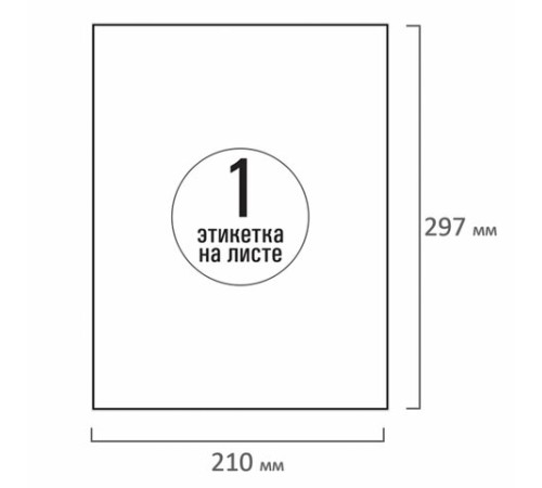 Этикетка самоклеящаяся ВСЕПОГОДНАЯ 210х297 мм, 1 этикетка, полиэстер, белая, 25 листов, TANEX, сырье Финляндия, 114545, TW-2000