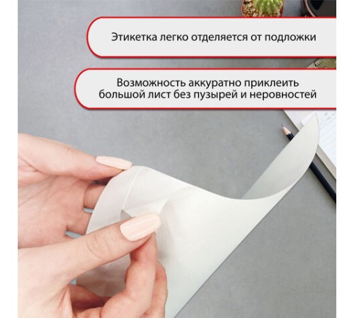 Этикетка самоклеящаяся УДАЛЯЕМАЯ 210х297 мм, 1 этикетка, белая, 70 г/м2, 25 листов, TANEX, сырье Финляндия, 114546, TW-2000