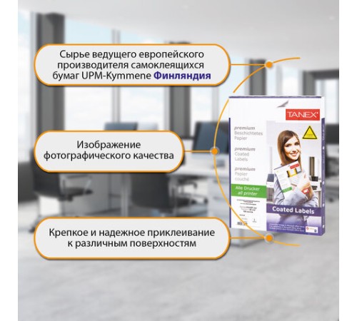 Этикетка самоклеящаяся ГЛЯНЦЕВАЯ 210х297 мм, 1 этикетка, белая, 80 г/м2, 100 листов, TANEX, сырье Финляндия, 114547, TW-2000
