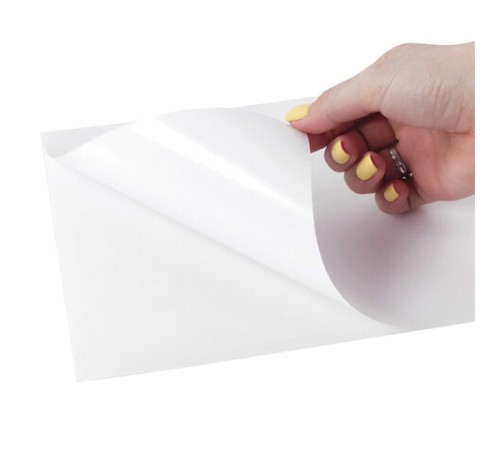 Этикетка самоклеящаяся ГЛЯНЦЕВАЯ 210х297 мм, 1 этикетка, белая, 80 г/м2, 100 листов, TANEX, сырье Финляндия, 114547, TW-2000