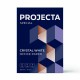 Бумага офисная А4, 80 г/м2, 500 л., марка В, PROJECTA SPECIAL, Россия, 153% (CIE)