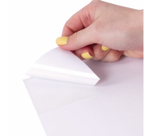 Этикетка самоклеящаяся 70х67,7 мм, 12 этикеток, белая, 80 г/м2, 50 листов, STAFF BASIC, 115649