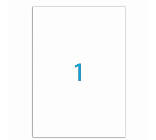 Этикетка самоклеящаяся 210х297 мм, 1 этикетка, белая, 70 г/м2, 50 листов, LOMOND, 2100005