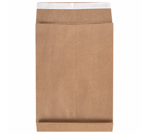 Конверт-пакет В4 объемный (250х353х40 мм), до 300 листов, крафт-бумага, отрывная полоса, 391157
