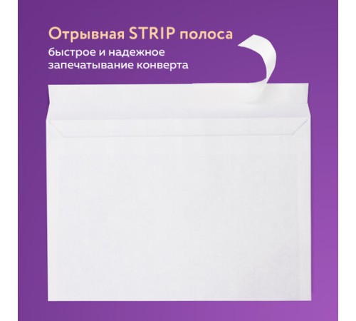 Конверты С4 (229х324 мм), отрывная лента, 100 г/м2, КОМПЛЕКТ 25 шт., BRAUBERG, 121852