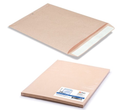 Конверт-пакеты С4 плоские (229х324 мм), до 90 листов, крафт-бумага, отрывная полоса, КОМПЛЕКТ 25 шт., 161150.25