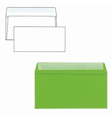 Конверты С65 (114х229 мм) АССОРТИ 5 ЦВЕТОВ, отрывная лента, 120 г/м2, КОМПЛЕКТ 10 шт., европодвес, 225А.10