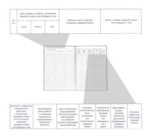 Книга учета движения трудовых книжек и вкладышей к ним, 48 л., картон, блок офсет, А4 210х290 мм, 52277, 130054