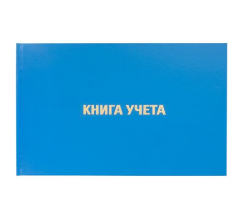 Книга учета 96 л., клетка, твердая, бумвинил, блок офсет, альбомная, А4 203х290 мм, BRAUBERG, 130074