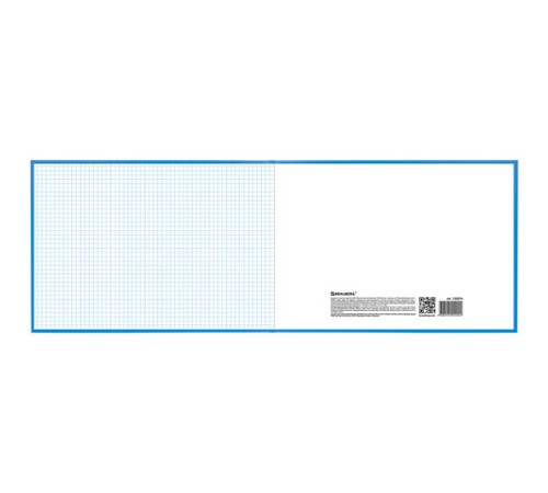 Книга учета 96 л., клетка, твердая, бумвинил, блок офсет, альбомная, А4 203х290 мм, BRAUBERG, 130074