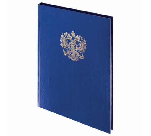 Книга учета 96 л., клетка, твердая, бумвинил, офсет, герб, А4 (200х290 мм), BRAUBERG, синяя, 130141