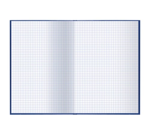 Книга учета 96 л., клетка, твердая, бумвинил, офсет, герб, А4 (200х290 мм), BRAUBERG, синяя, 130141