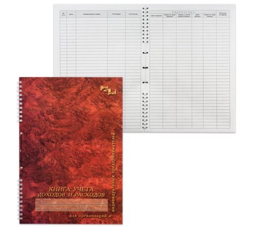 Книга учета доходов и расходов, 50 л., картон, на гребне, А4 (204х290 мм), 13с21-50