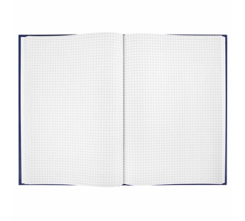 Книга учета 96 л., клетка, твердая, бумвинил, блок офсет, А4 200х290 мм, ОФИСМАГ, 130177